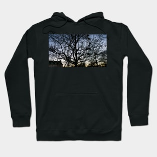 London Eye view thru trees near it Hoodie